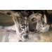 MERCEDES 204 ARKA TORSİYON KOMPLE DOLU